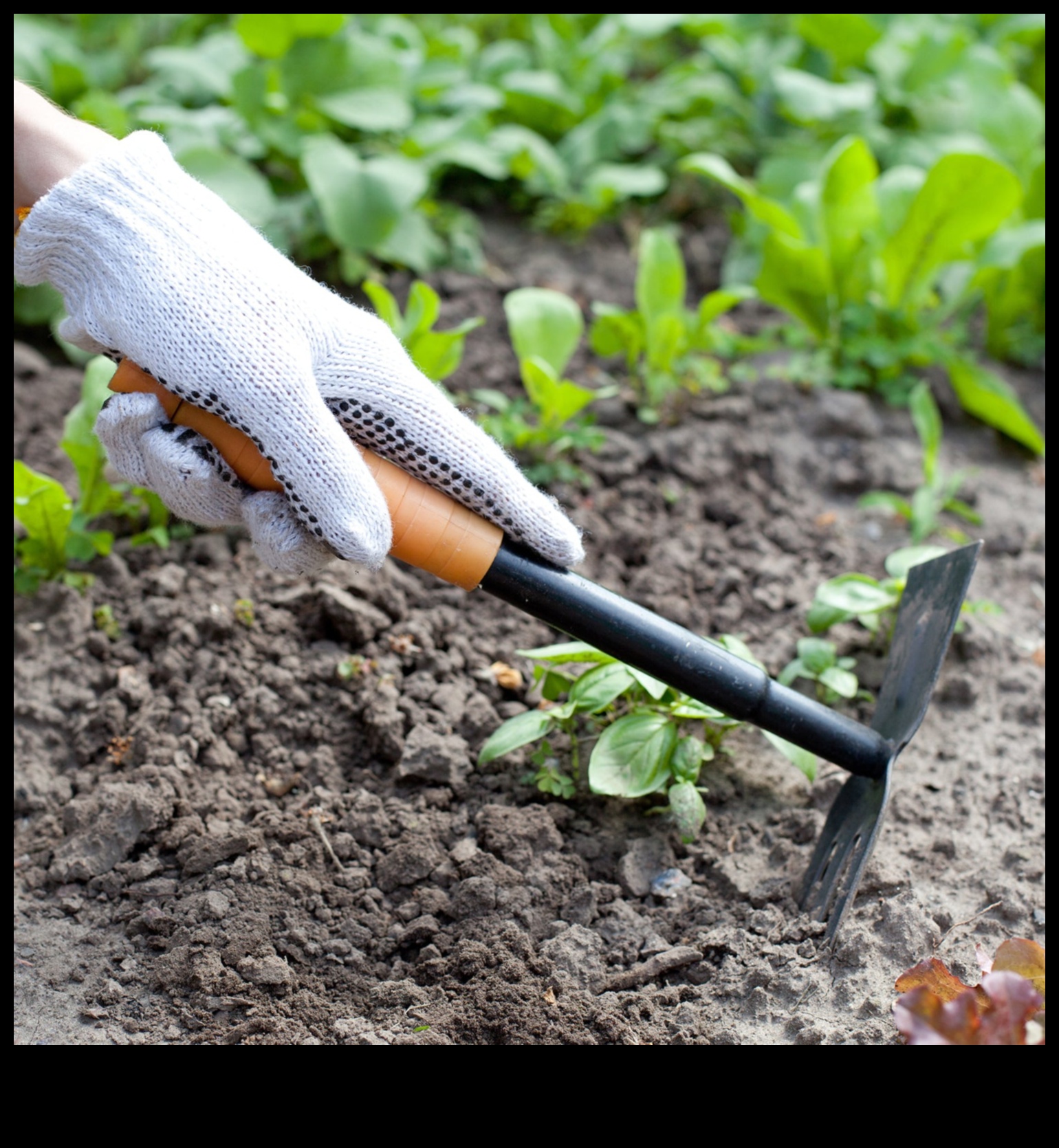 Cultivate Brilliance: Superior Garden Equipment Defined