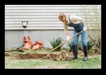Cultivate Charm: Essential Garden Tools for Joyful Gardening