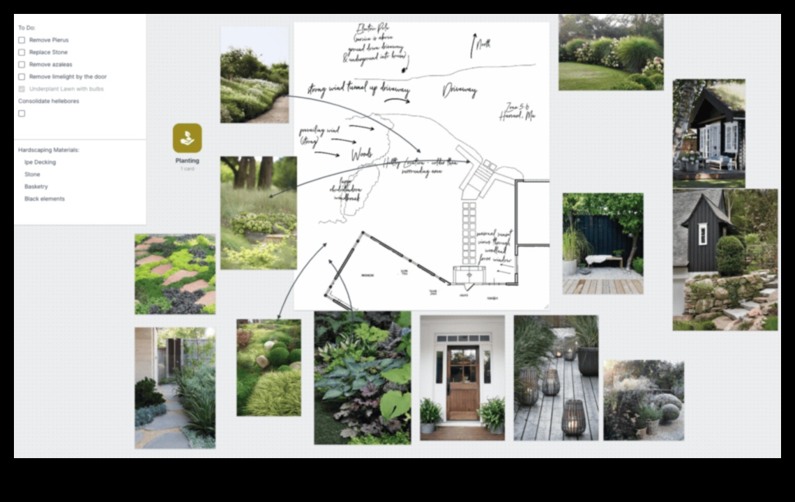 Cultivate Creativity: Essential Steps for Garden Design