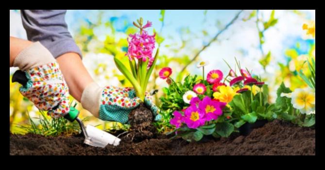 Cultivate Creativity: Essential Steps for Garden Design