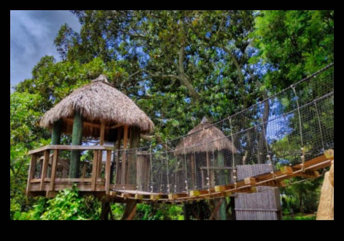 Cultivate Curiosity Engaging Garden Workshop Series Unearths the Wonder of Nature 1