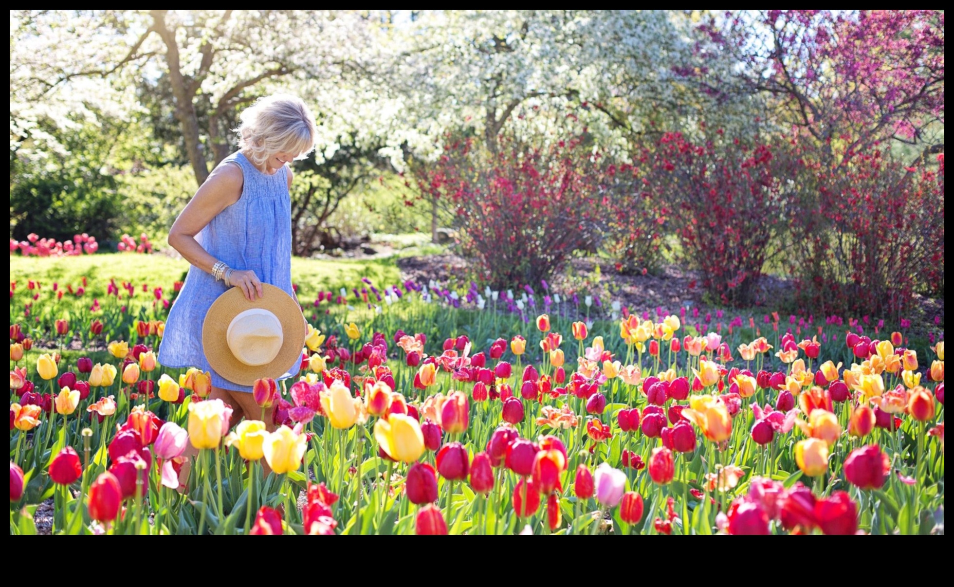 Cultivate Joy: Horticulture Secrets for Every Garden