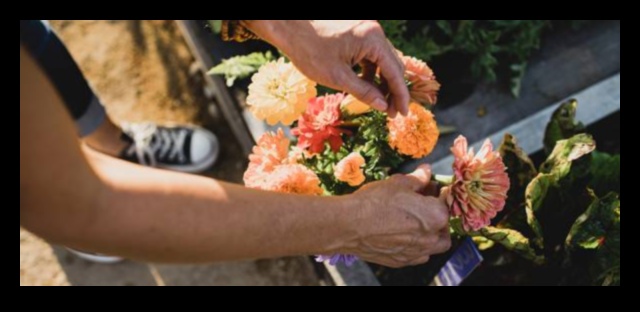 Cultivate Joy: Horticulture Secrets for Every Garden