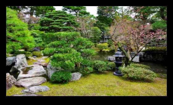 Cultivating Joy: DIY Elegance for a Delightful Garden Haven