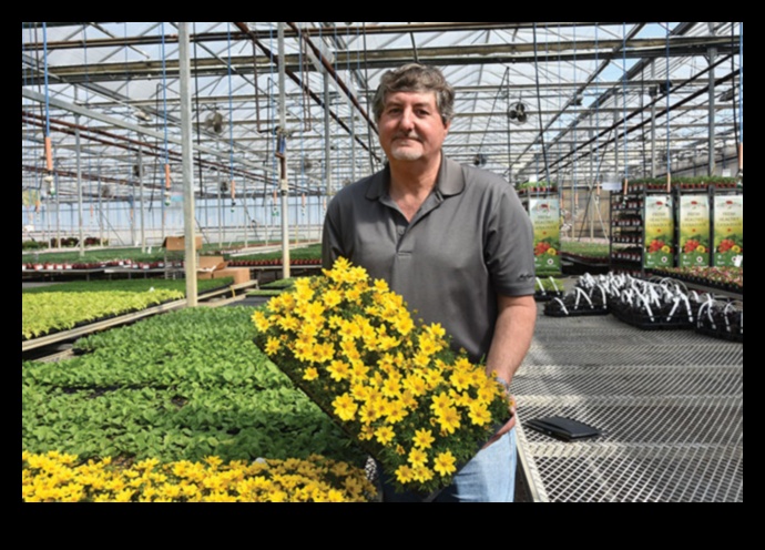 Cultivate Joy Discover the Magic of Greenhouse Gardening 1