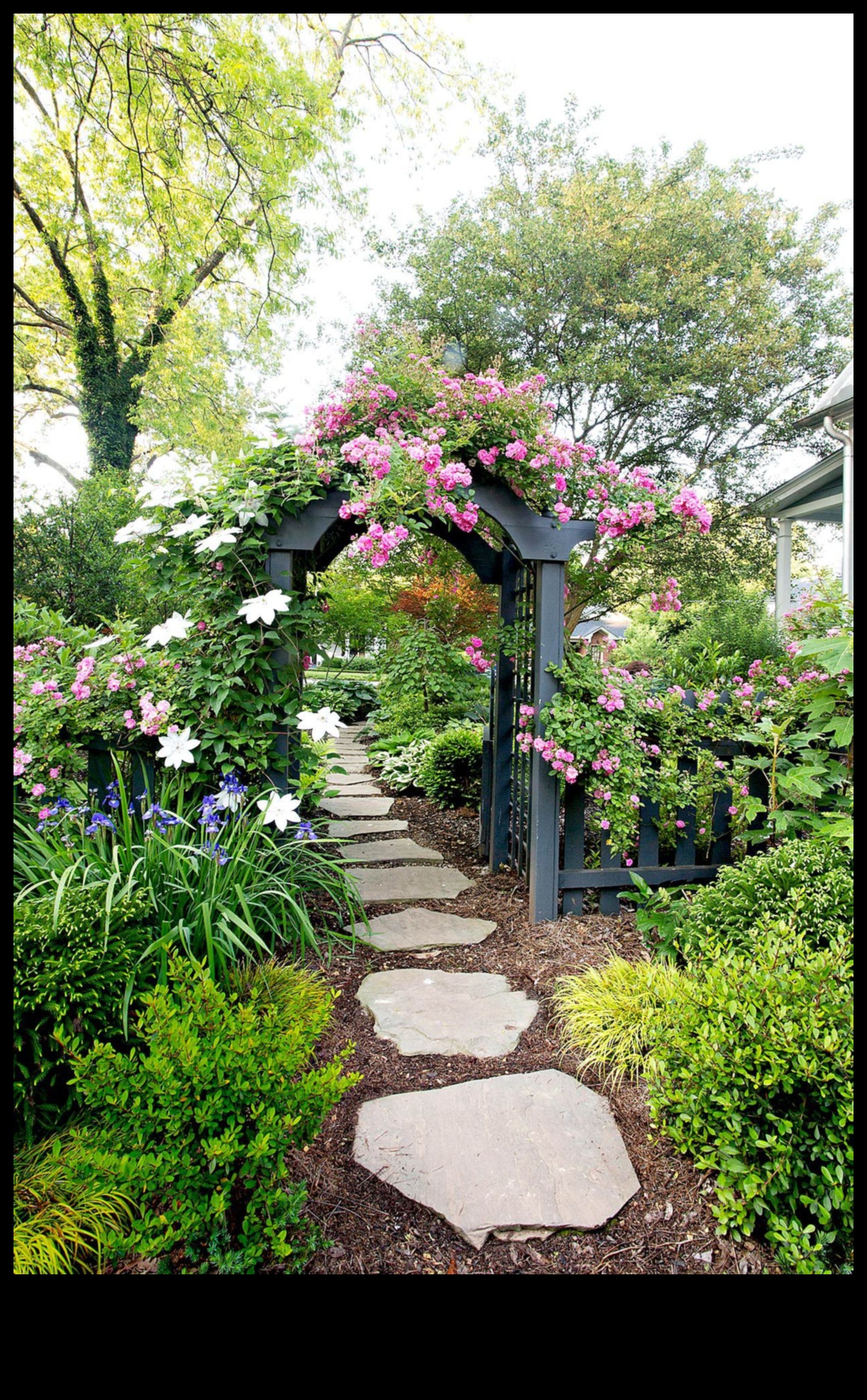 Cultivate Success: Insider Tips for a Flourishing Garden