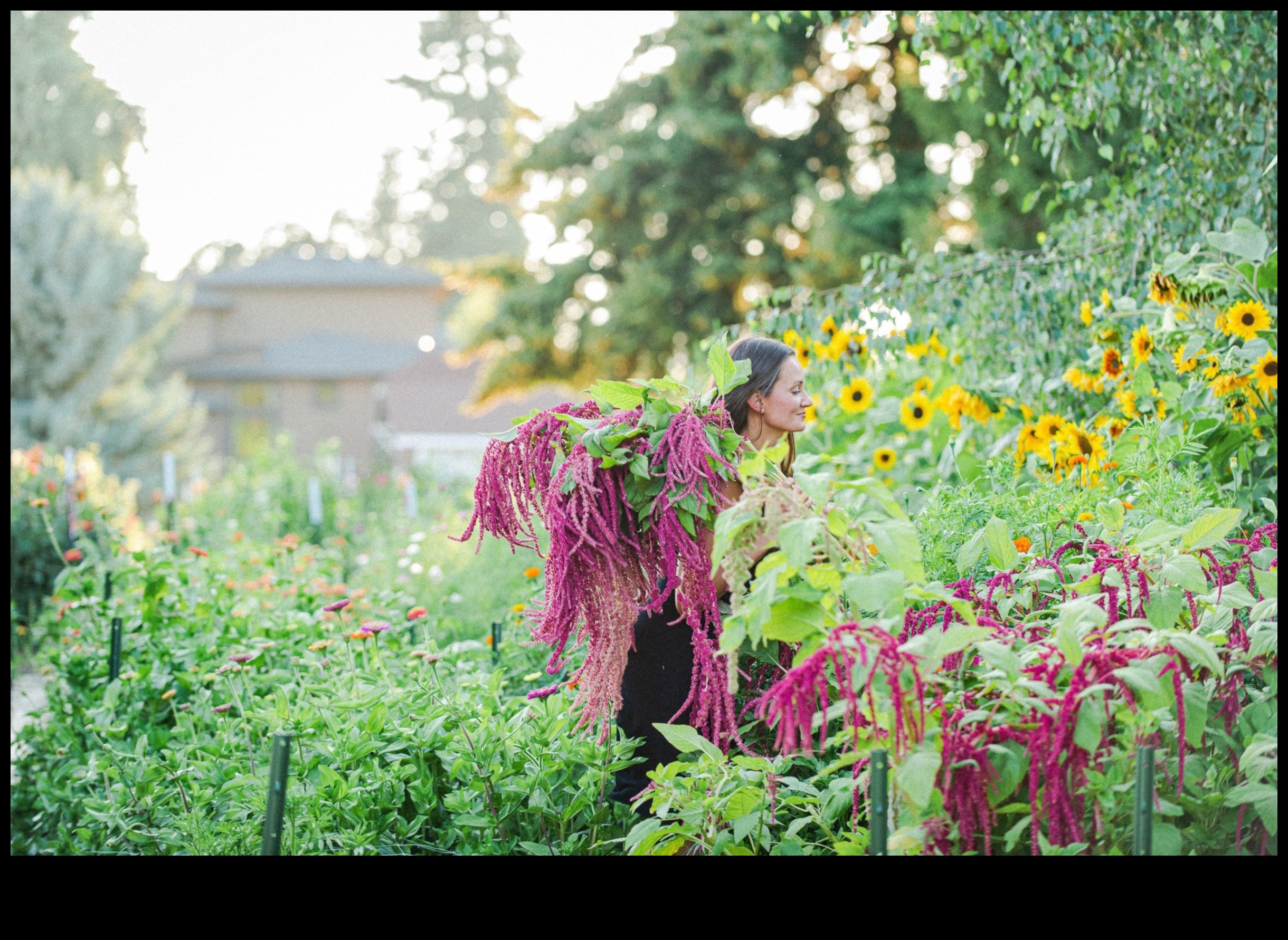 Cultivate Success: Insider Tips for a Flourishing Garden