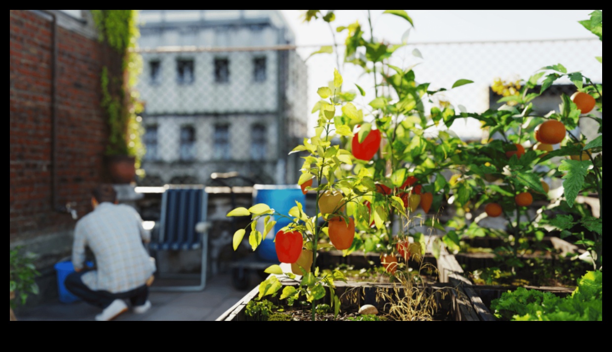 Balcony Bounty: Urban Gardening for Apartment Dwellers