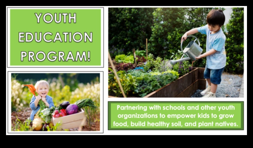 Cultivating Minds: A Blueprint for Garden Education Success