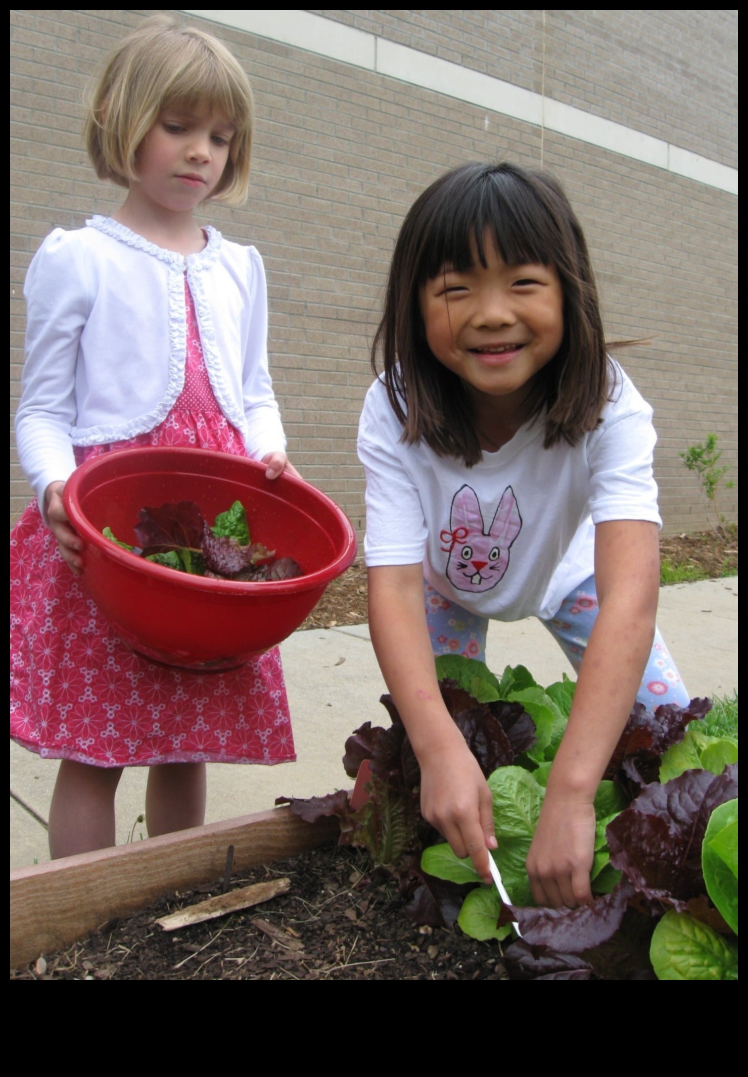 Cultivating Minds: A Blueprint for Garden Education Success