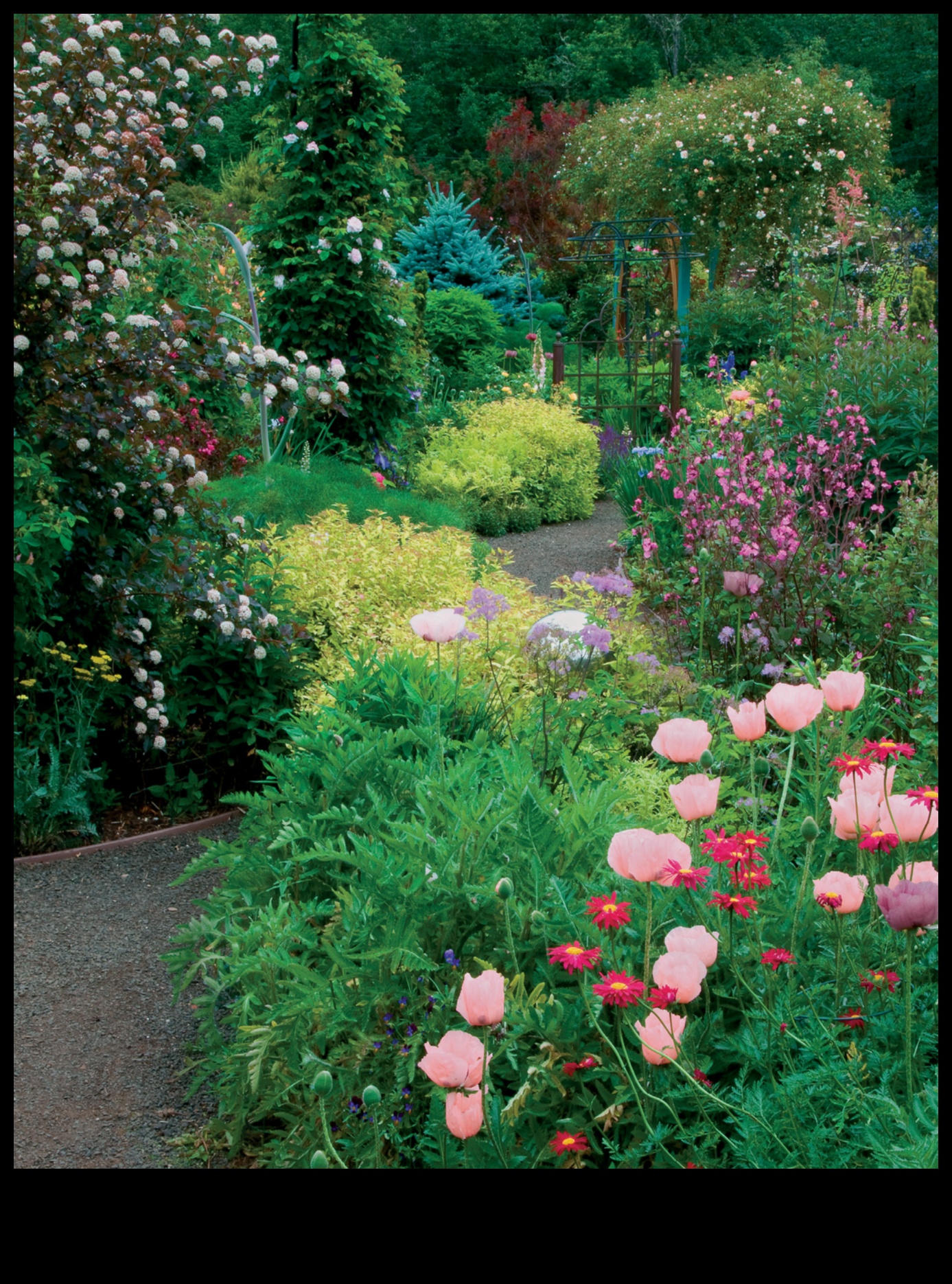 Cultivating Vision: Unlocking the Secrets of Garden Design