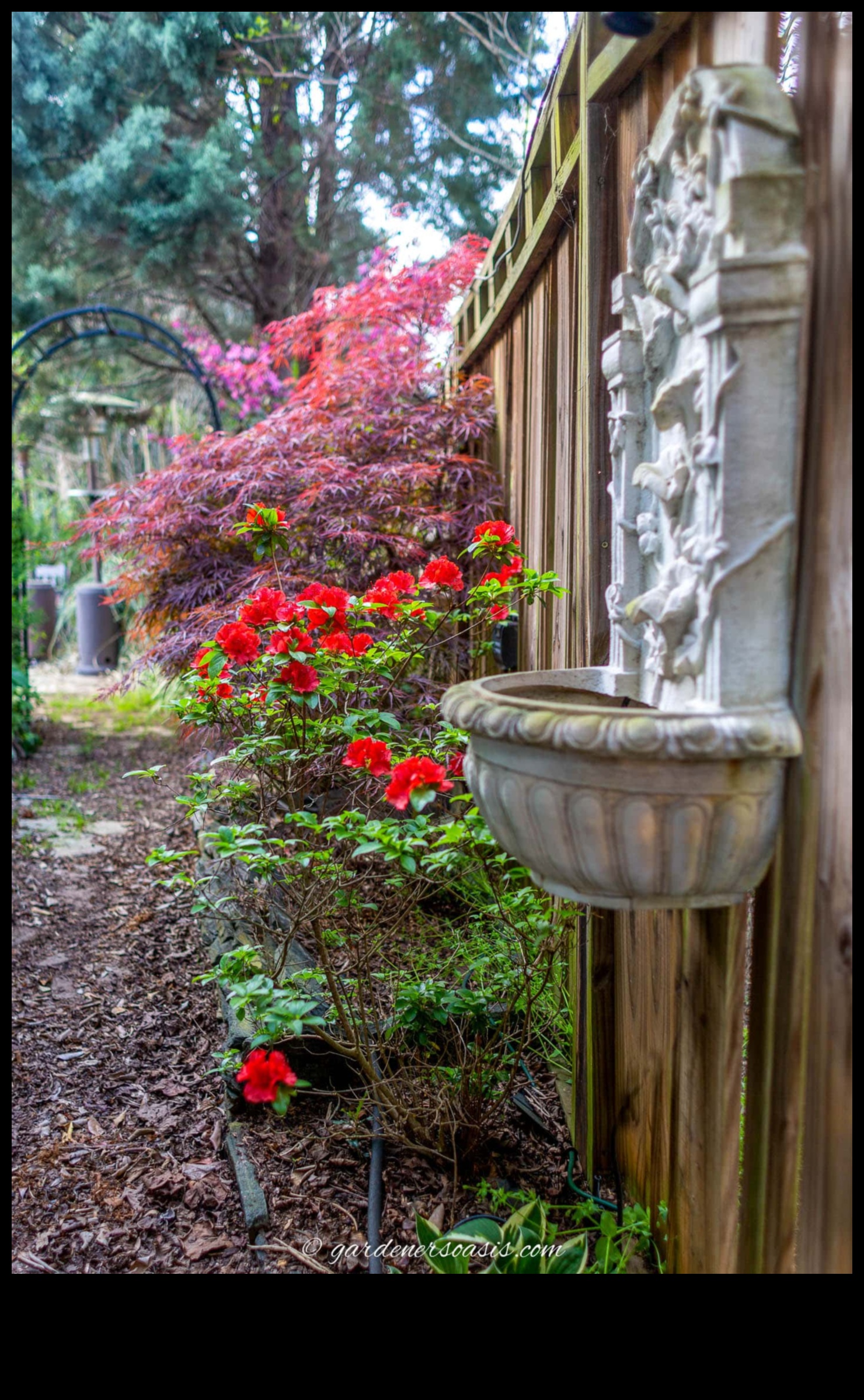 Cultivating Vision: Unlocking the Secrets of Garden Design