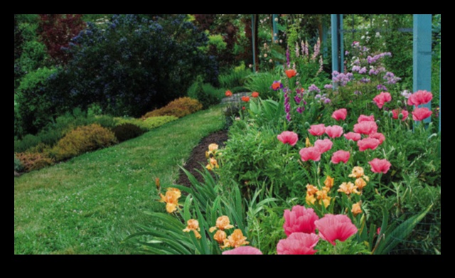 Cultivating Vision: Unlocking the Secrets of Garden Design