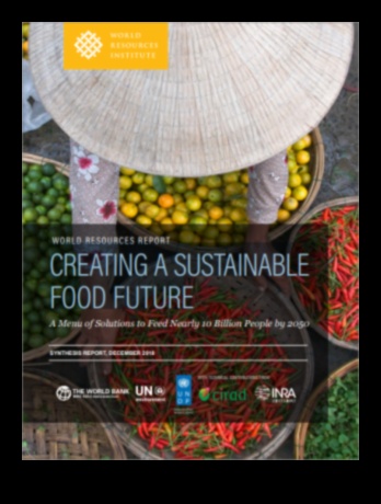 Cultivating a Sustainable Food Future 1