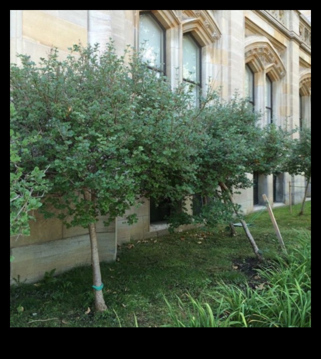 Cultural Heritage Landscapes: Echoes of the Past