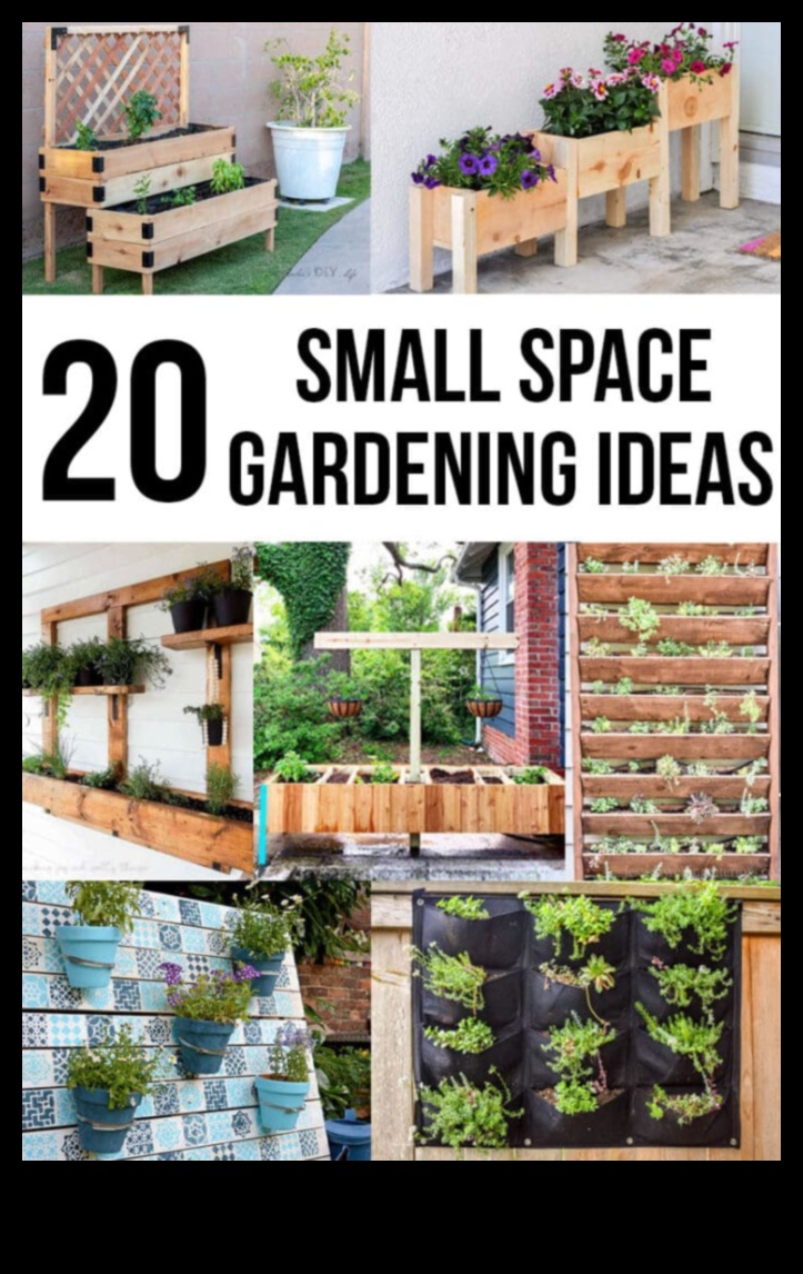 DIY Eden: Transform Your Space with Creative Garden Projects