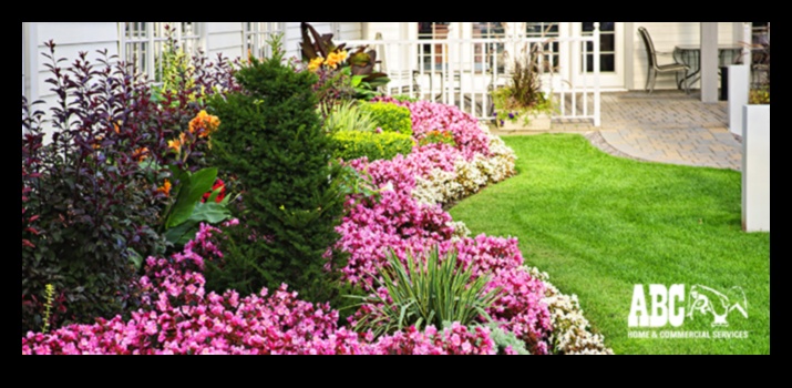 Defend, Deter, Defeat: Strategies for a Pest-Free Garden