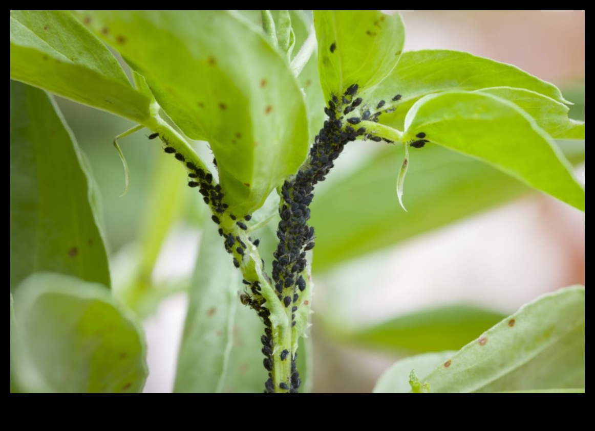 Defend, Deter, Defeat: Strategies for Garden Pests