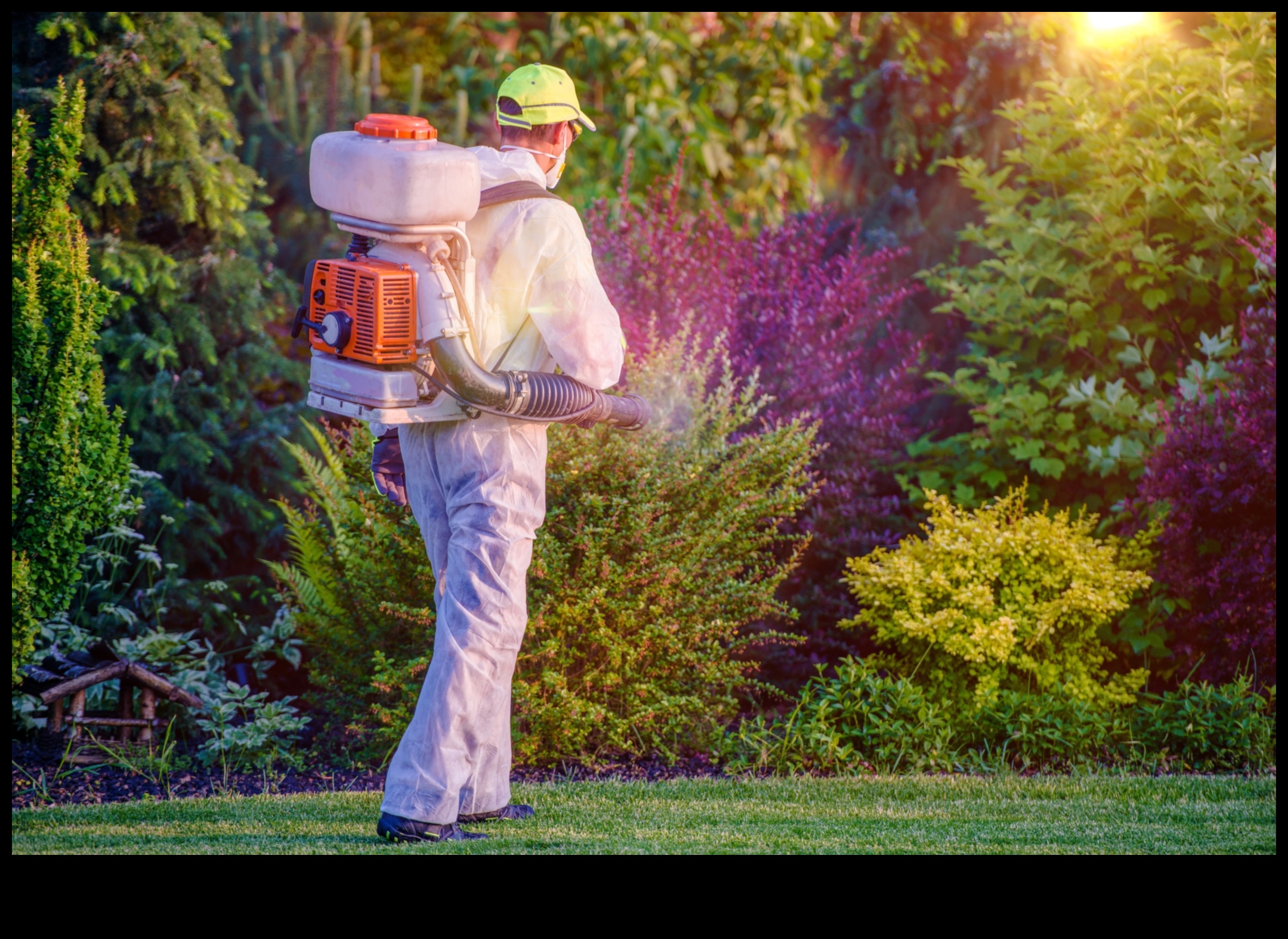 Defend, Deter, Defeat: Strategies for Garden Pests