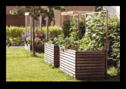 Defend, Deter, Defeat: Strategies for a Pest-Resistant Garden