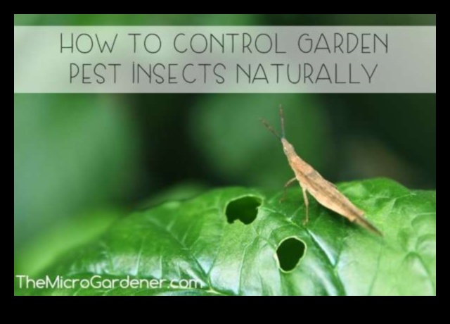 Defend, Deter, Defeat: A Gardener's Blueprint for Pest Control