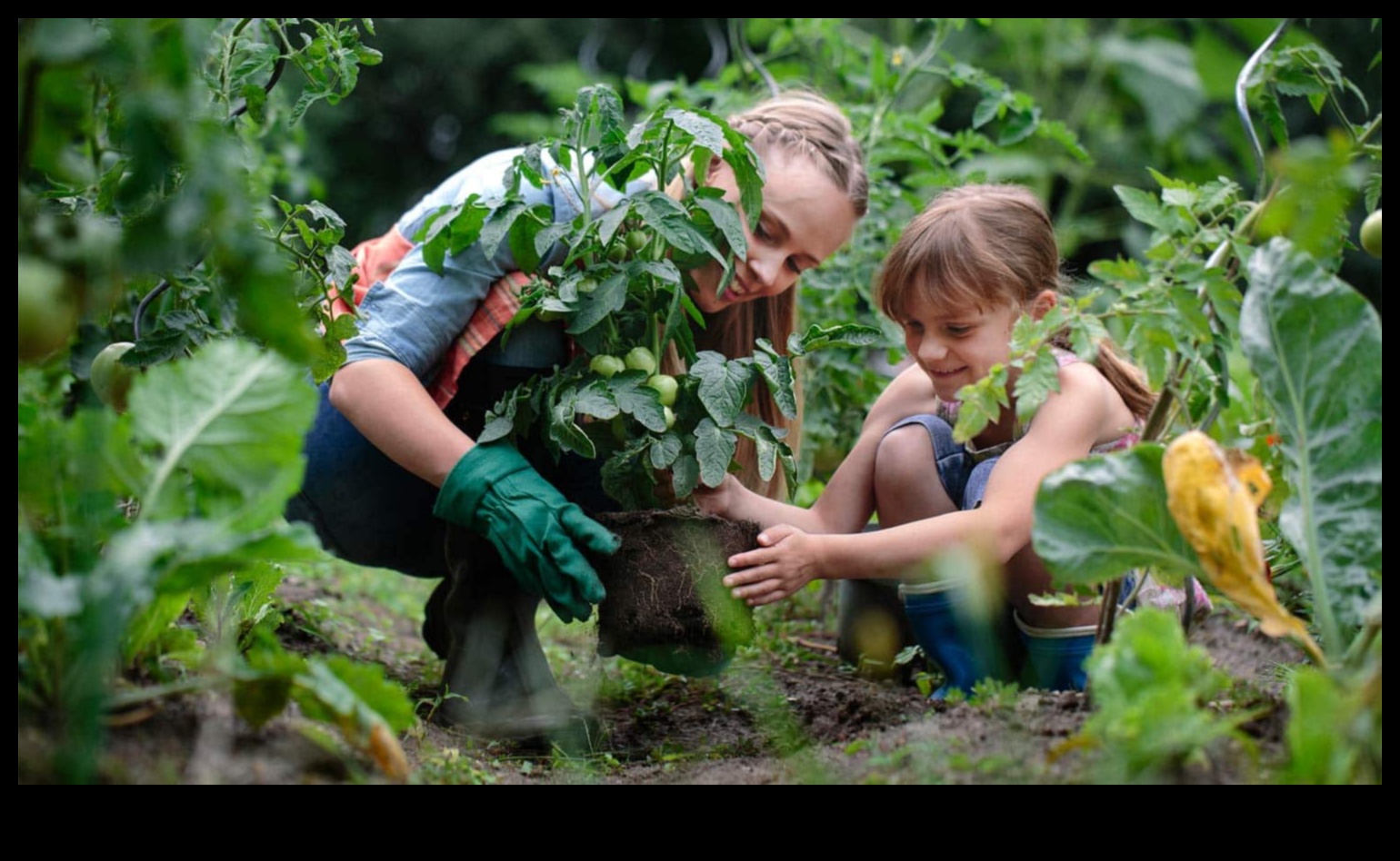 Defend, Deter, Defeat: A Gardener's Blueprint for Pest Control