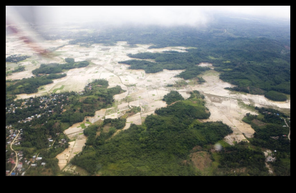 What impact does deforestation have on tropical landscapes?