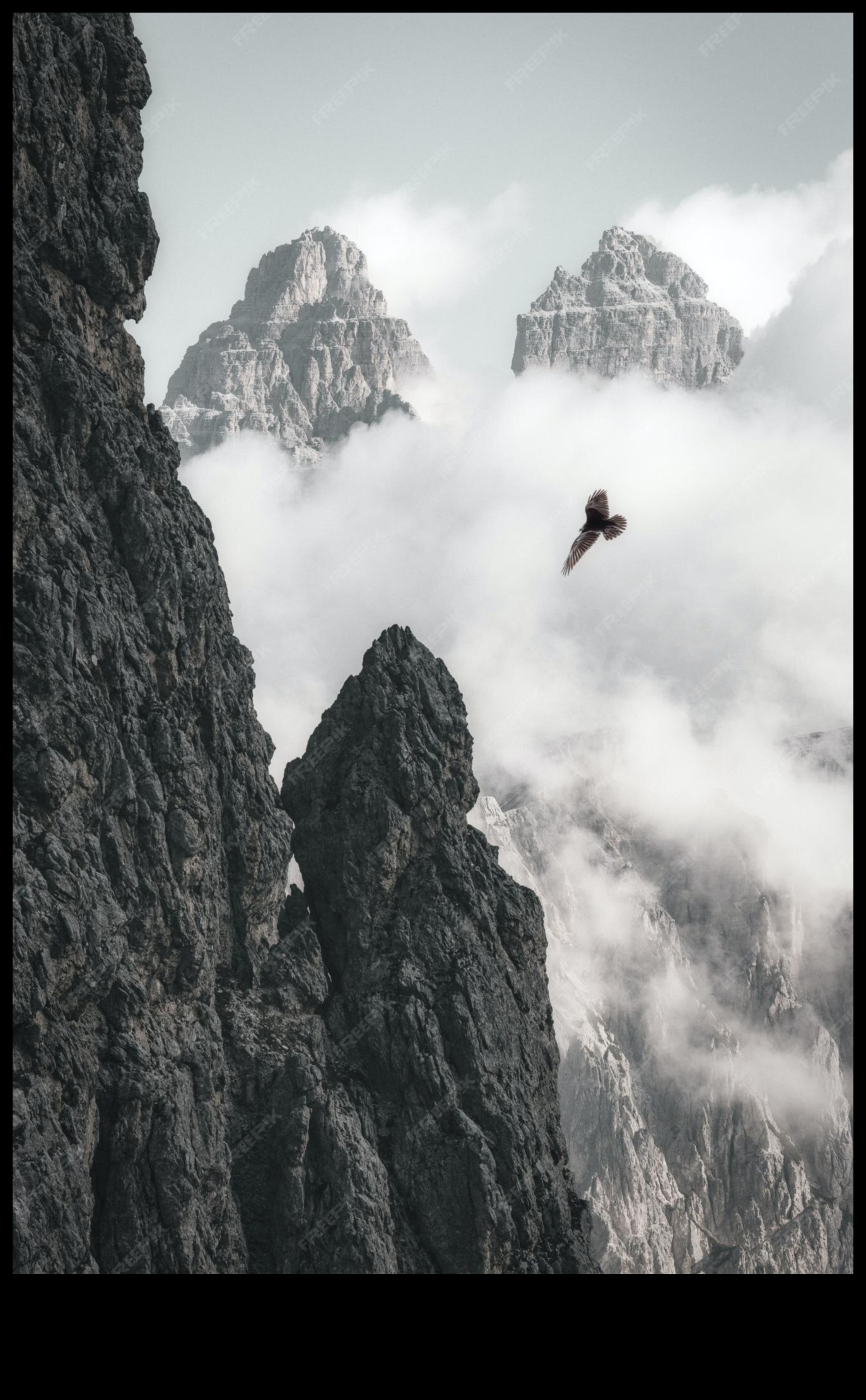 Desert Dreams: The Allure of Arid Landscapes