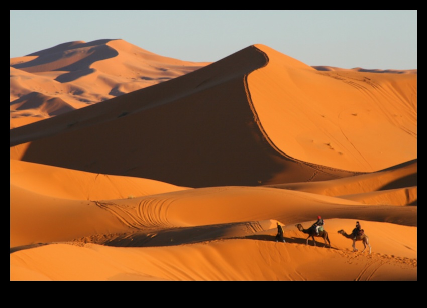 Deserts A Vast and Varied Landscape 1