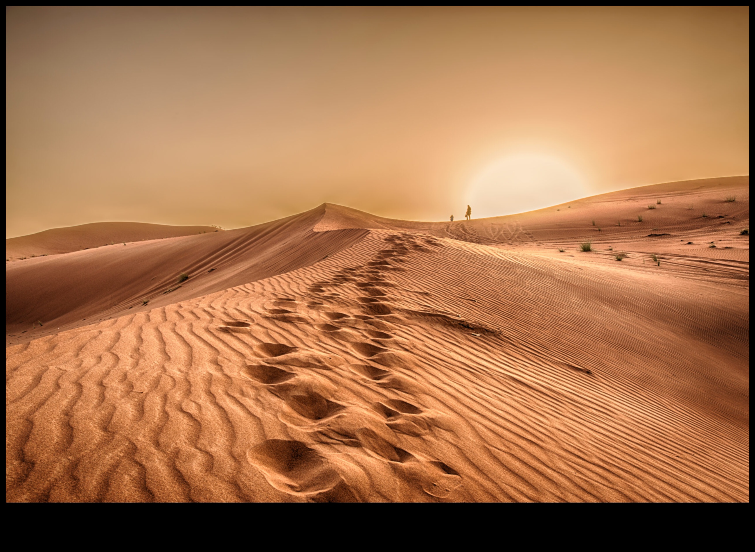The Allure of Desert Landscapes