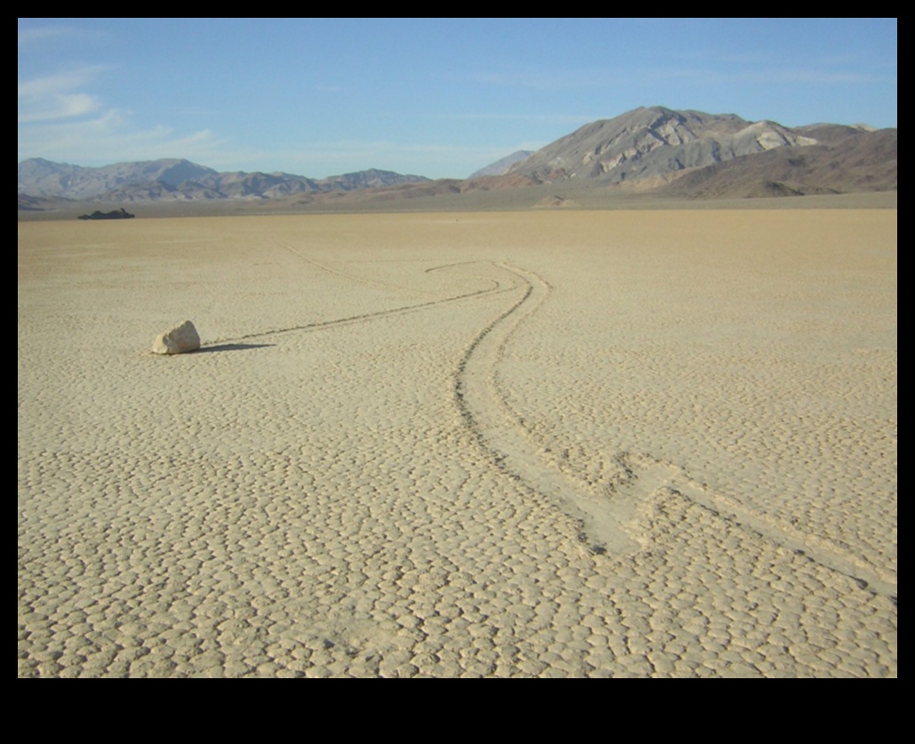 Why are desert landscapes considered harsh yet beautiful?