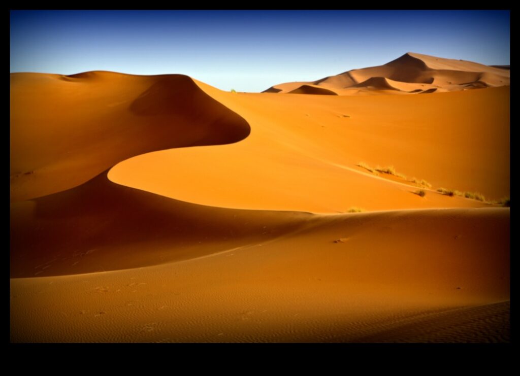 Deserts The Beauty of the Barren 1