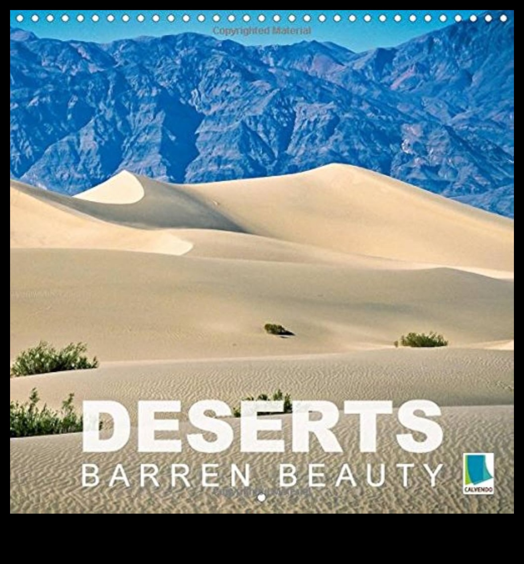 Embracing the Desert: Beauty in Arid Landscapes