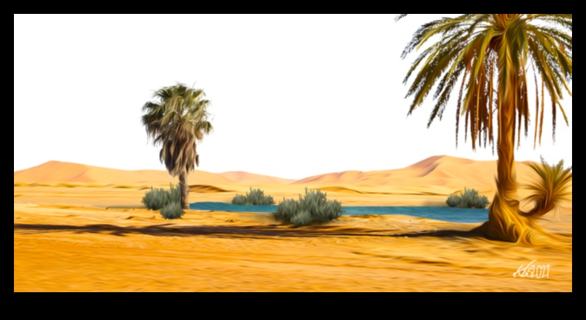 Why are deserts and arid landscapes important for scientific research?