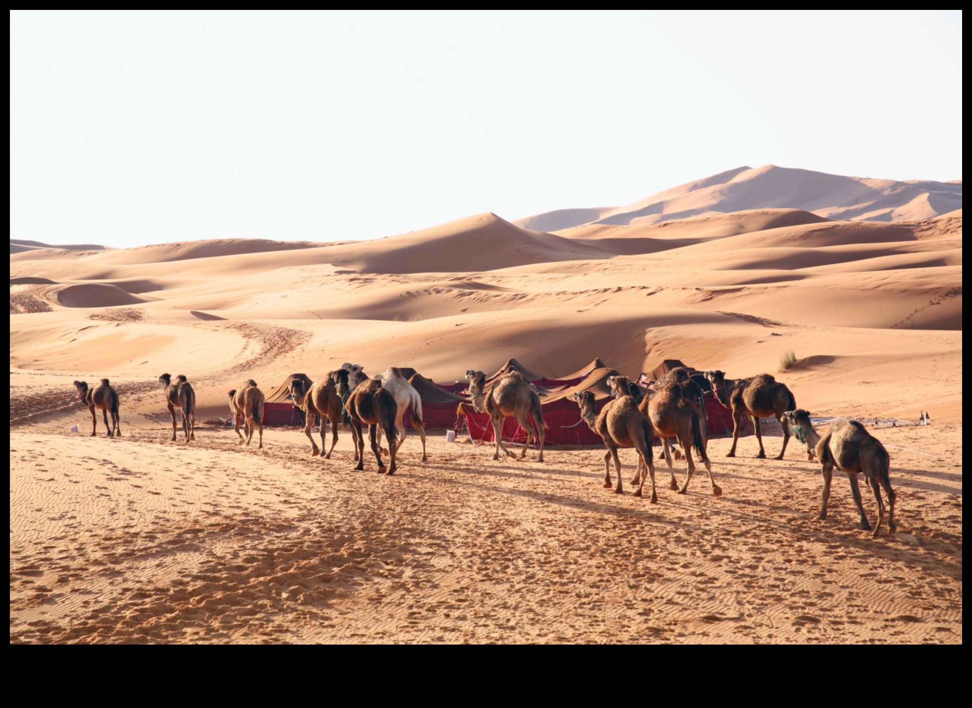 What is the impact of climate change on the preservation of desert landscapes?