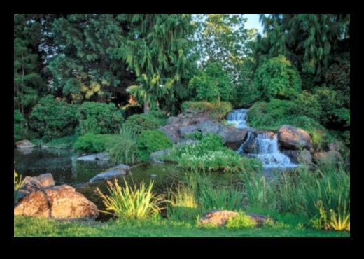 Design Your Oasis: Ultimate Guide to Efficient Garden Planning