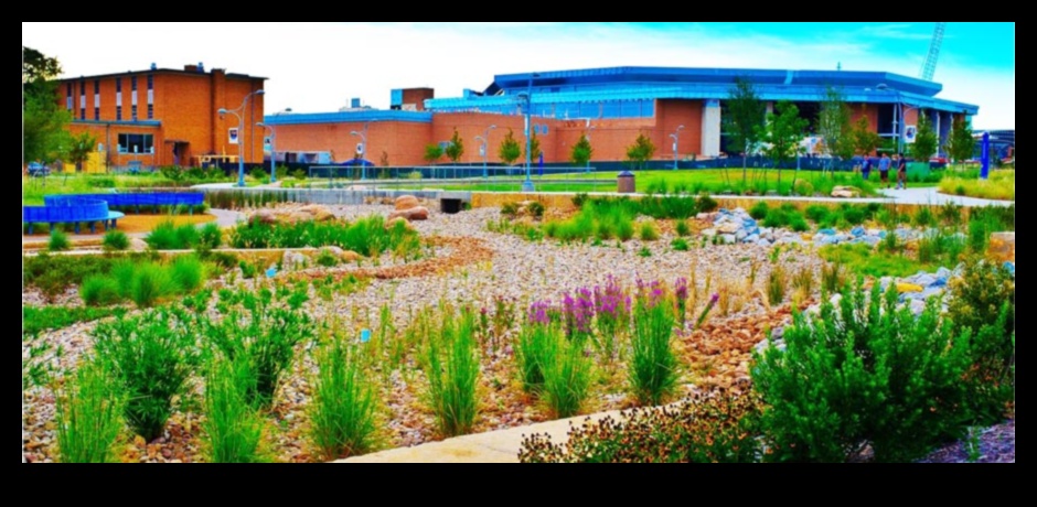 Sustainable Landscape Design: Balancing Beauty and Eco-Friendliness