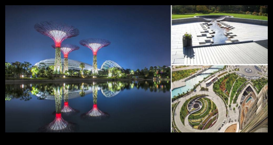 Sustainable Landscape Design: Balancing Beauty and Eco-Friendliness