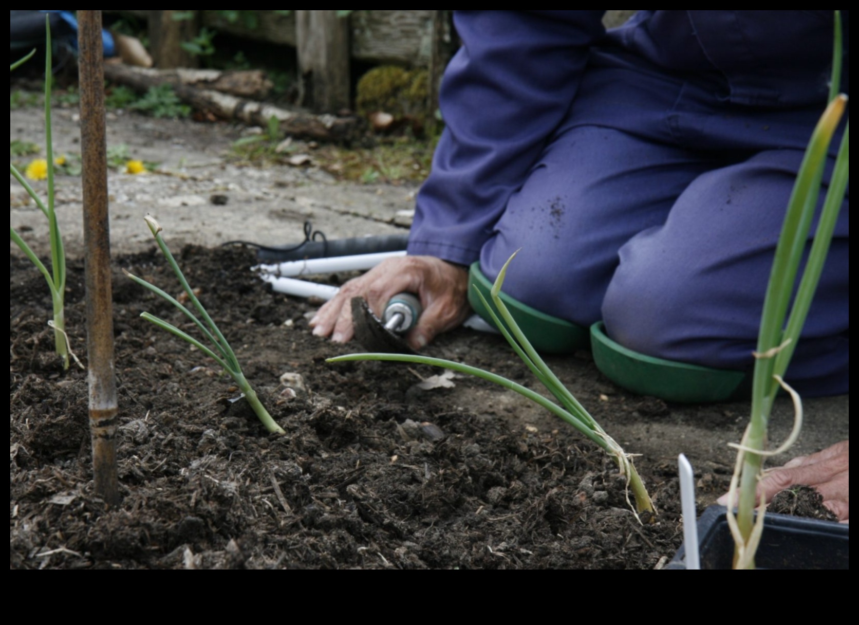 Dig Deep, Thrive High: Essential Garden Tools Defined