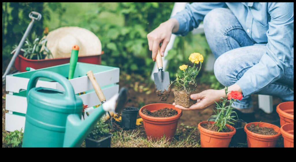 Dig, Plant, Grow Your Guide to Essential Garden Tools for Success 1