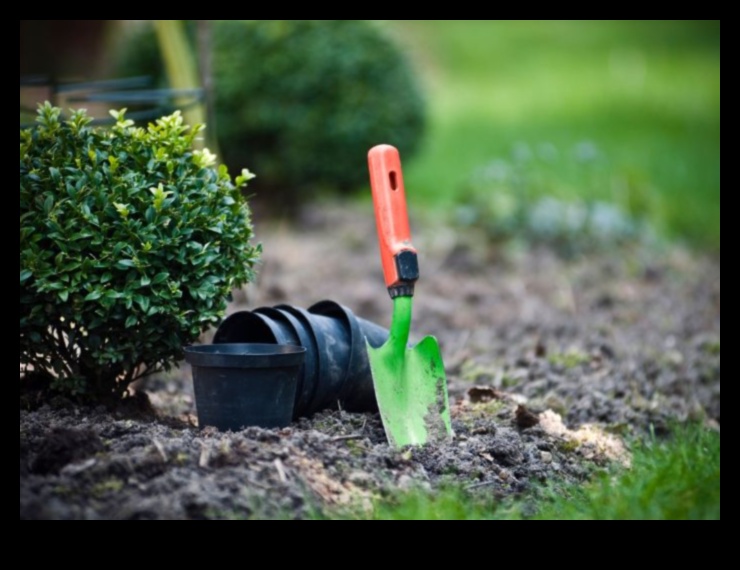 Dig, Plant, Grow: Essential Garden Tools for Success