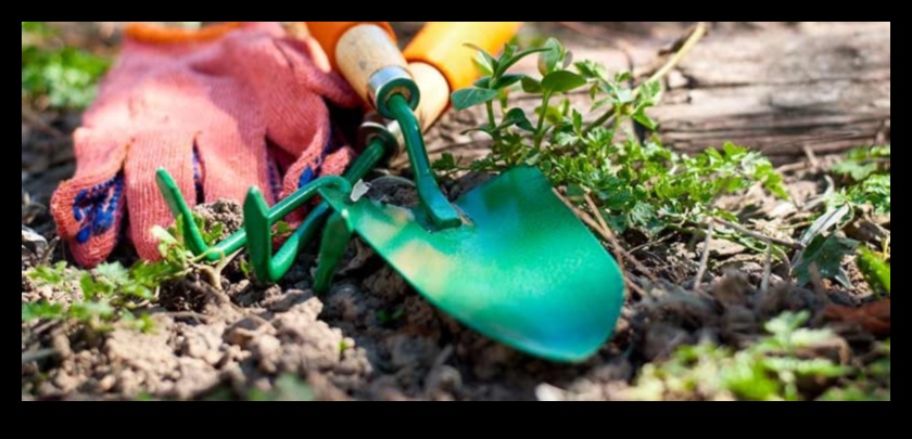 Dig, Plant, Grow: Essential Garden Tools for Success