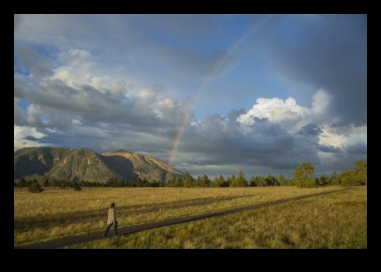 Dramatic Views: Striking Landscapes in Every Frame