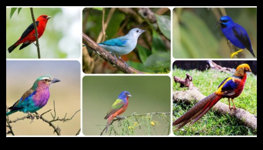 Earth A Symphony of Elegance 1