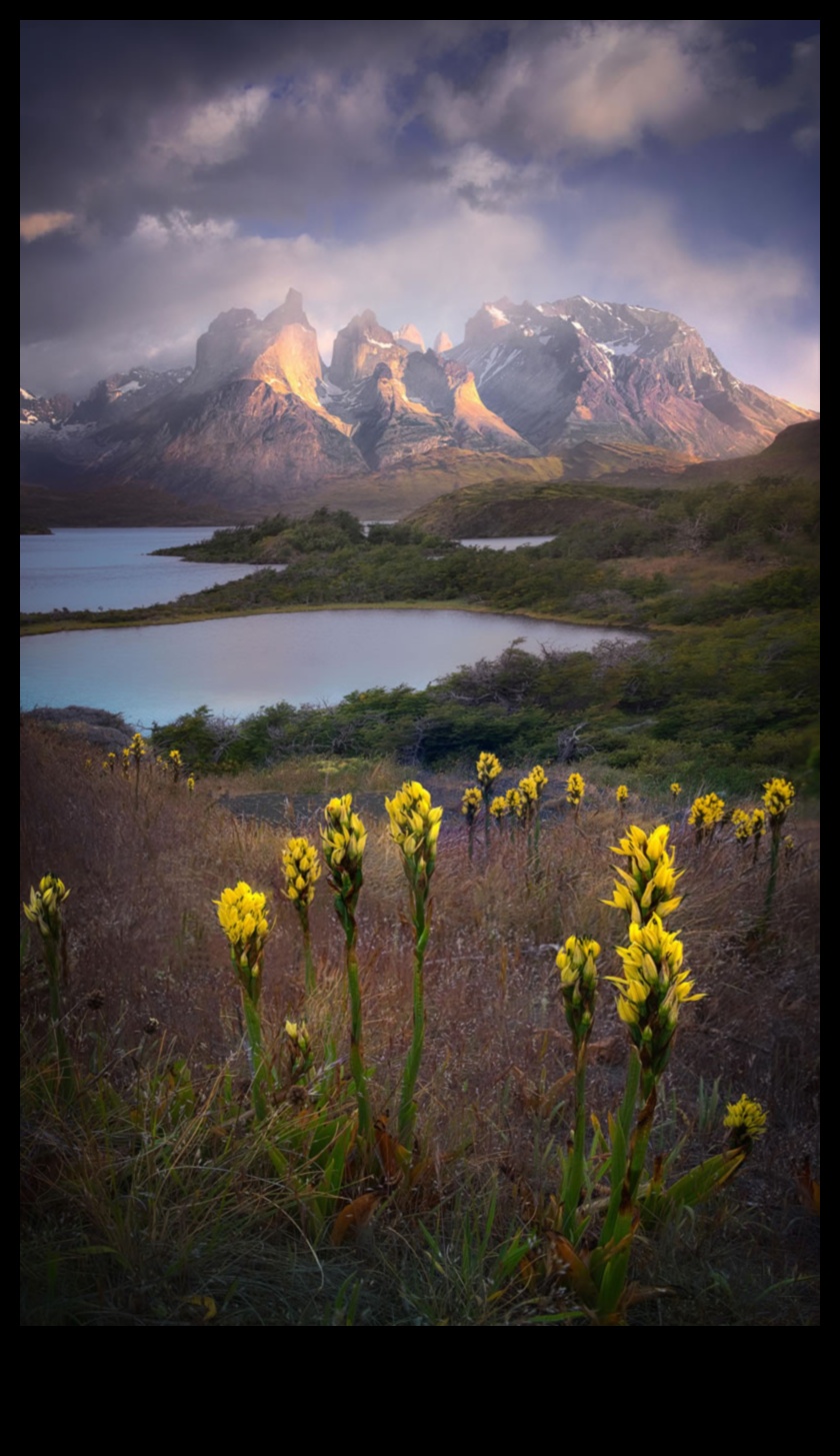 Earthly Bliss: A Collection of Uplifting and Joyful Landscapes