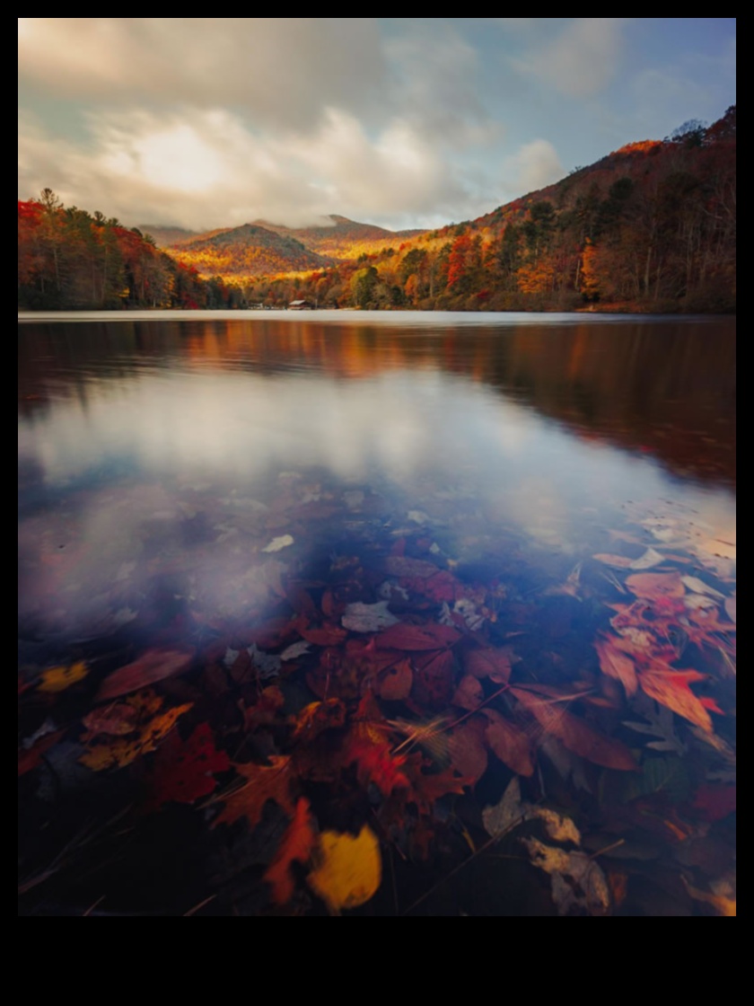 Earthly Bliss: A Collection of Uplifting and Joyful Landscapes