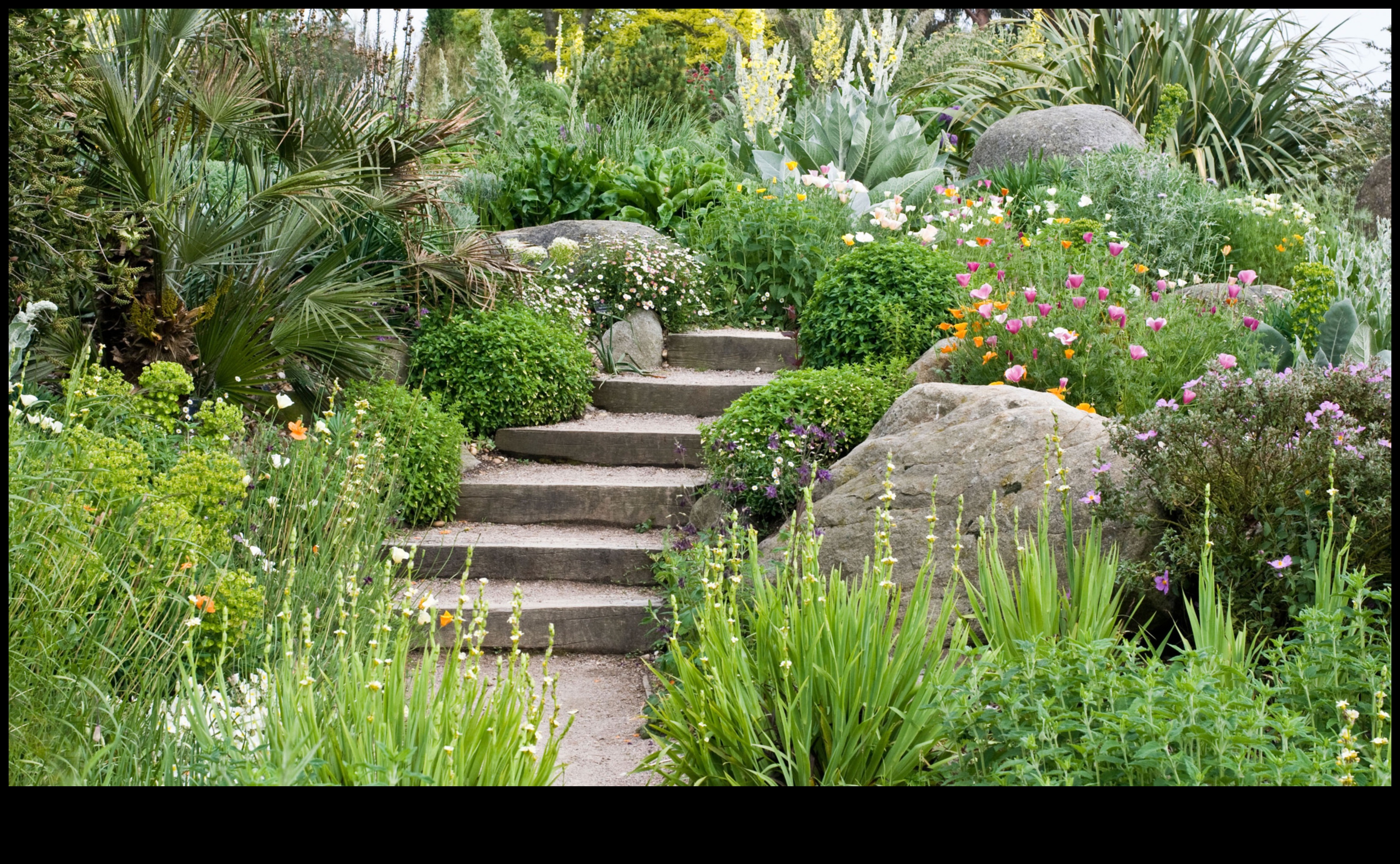 Eco-Friendly Gardens: Sustainable DIY Treasures Await