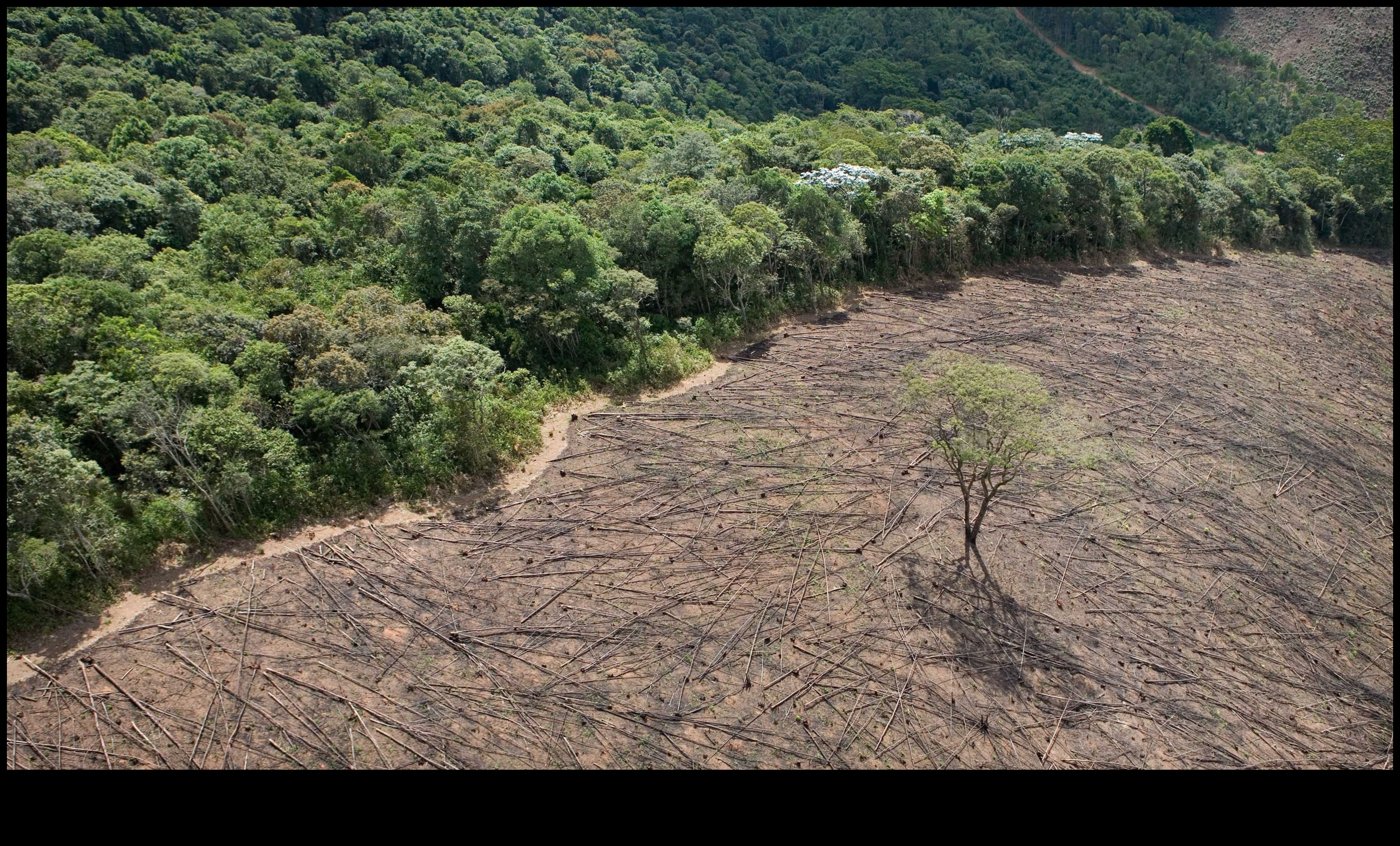 Nature's Refuge II: Further Explorations of Ecological Reserves