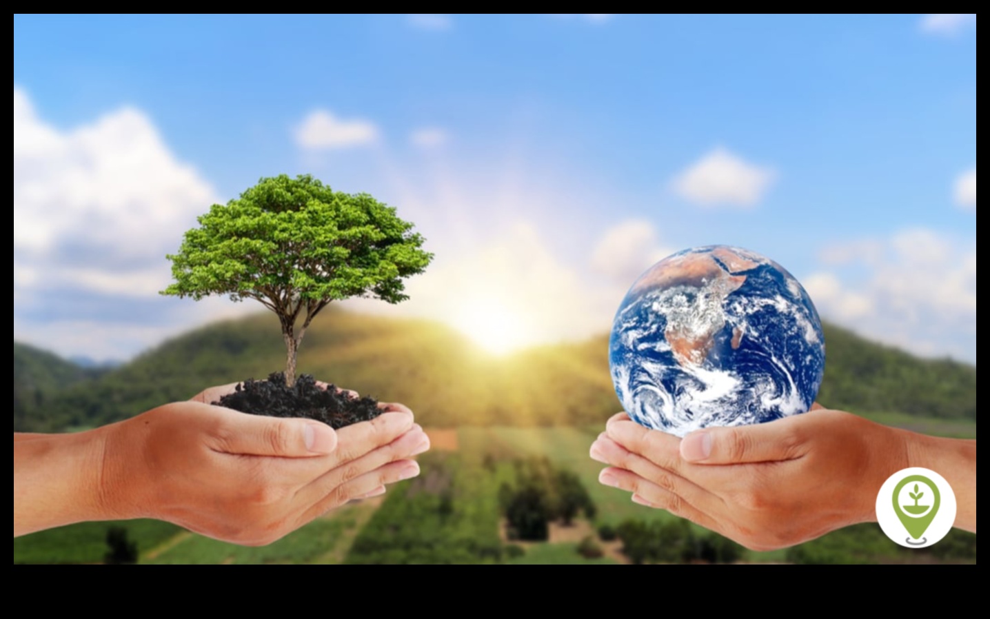 Nature's Refuge II: Further Explorations of Ecological Reserves