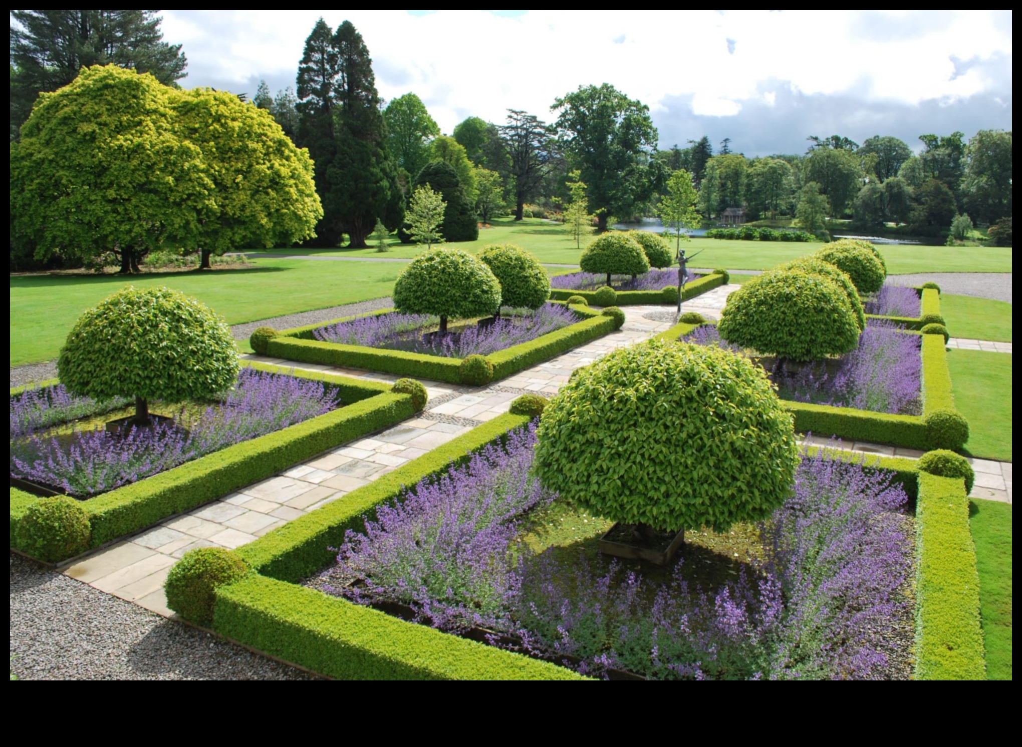 Eden Revealed: Garden Design Dreams Blossoming